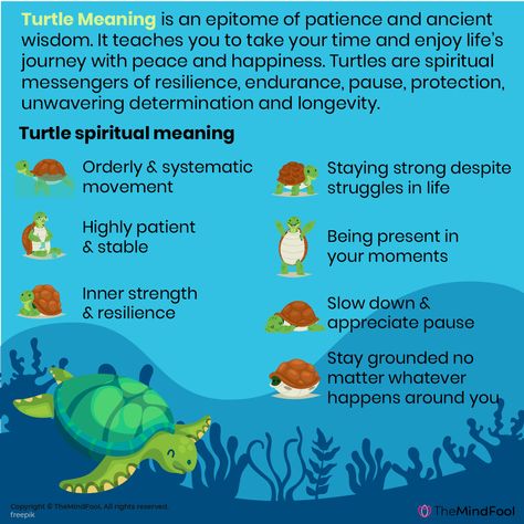 Turtles are spiritual messengers of resilience, endurance, pause, and longevity. It is a symbol of wisdom, protection, and unwavering determination. Turtles are spiritual messengers of resilience, endurance, pause, and longevity. It is a symbol of wisdom, protection, and unwavering determination. #spirituality #meditation #spiritualawakening #peace #healing #life #selflove #believe #mindfulness #motivation #inspiration #yoga #consciousness #awakening #Turtlesspiritual messengers #resilience Spiritual Meaning Of Turtles, Turtle Spiritual Meaning, Turtle Meaning, 2024 Word, Turtle Symbol, Turtle Spirit Animal, Turtle Symbolism, Spiritual Animals, Turtle Pictures