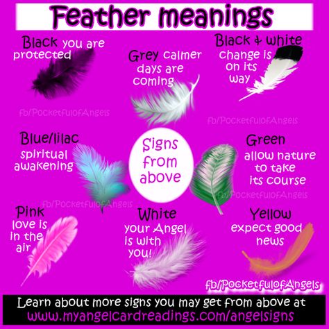 i've been finding a lot here recently Feather Meaning, Angel Signs, Angel Quotes, Angel Feathers, Sign Image, Angel Messages, After Life, Life Path, Decor Accents