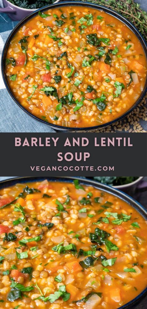 Barley Lentil Soup, Barley Recipe Healthy, Barley Recipe, Lentil Soup Recipe, Lentil Soup Recipes, Keto Soup, Vegan Soup Recipes, Comfort Soup, Lentil Recipes