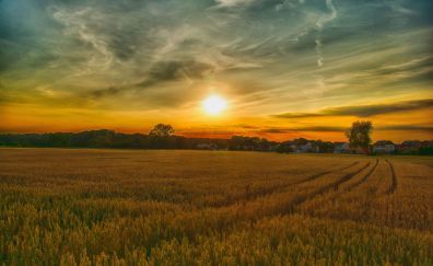 Summer, sunset, farm, landscape, nature Sunset Beautiful, Farm Field, Wallpapers For Desktop, For Desktop, Agriculture, Wallpapers, Music