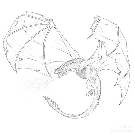 How to Draw an Ice Dragon from Game of Thrones by MonikaZagrobelna on DeviantArt Game Of Thrones Drawings, Dessin Game Of Thrones, Dragon Medieval, Dragon Anatomy, Game Of Thrones Tattoo, Tato Naga, Game Of Thrones Dragons, Ice Dragon, Dragon Sketch