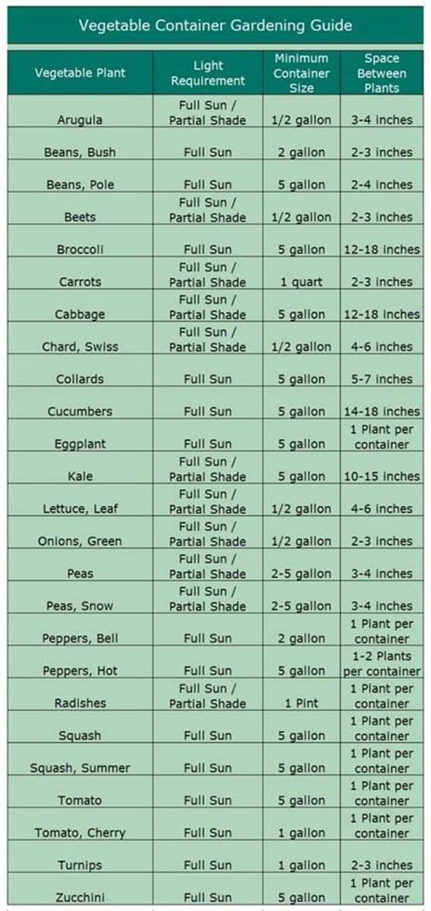 Small homestead farming | YOU CAN GROW MOST VEGETABLES IN CONTAINERS | Facebook Small Homestead Layout, Growing Food For A Family Of 4, How Much Garden To Feed A Family, Small Scale Farming, How Many Vegetables To Plant Per Person, Farming 101, Direct Sow Vegetables, Vegetables In Containers, Small Homestead