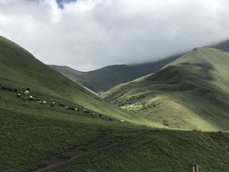 Green Mountain Aesthetic, Grain Aesthetic, Mountain Aesthetic, Green Mountain, Nature Aesthetic, Pretty Places, Fantasy Landscape, Mother Earth, Mother Nature