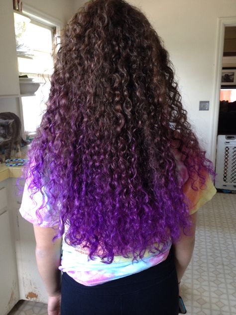 Curly Hair Dip Dye, Curly Hair Purple Highlights, Ila Core, Dyed Hair Tips, Curly Purple Hair, Super Curly Hair, Dipped Hair, Dyed Tips, Hair Colour Design