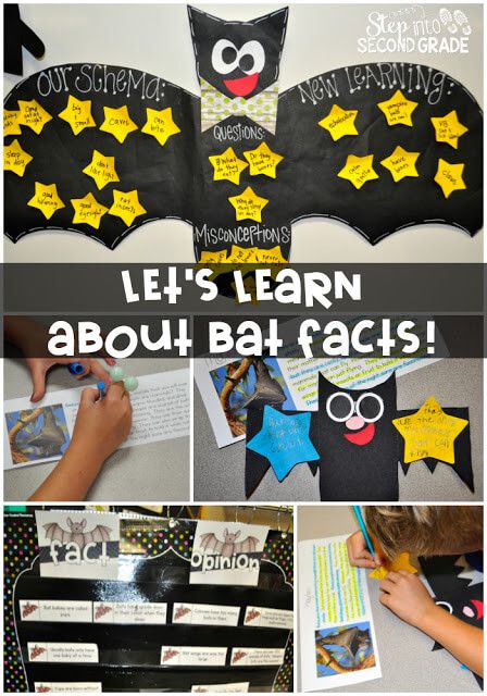 Bat Lessons, Bats Science, Nonfiction Reading Strategies, October Reads, Bat Activities, Animals Kindergarten, Bat Crafts, Rooted In Reading, Bats Unit