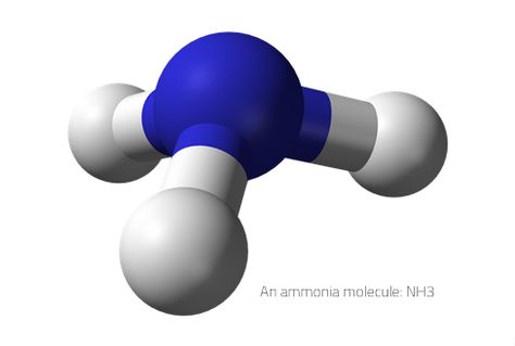 Ammonia: Lyme Excitotoxin Mthfr Gene Mutation, Chronic Lyme, Autoimmune Disorder, Green Energy, Natural Treatments, Chronic Illness, Probiotics, Disease