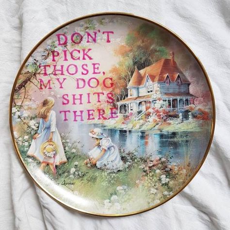 Decorative Plates Diy, Wicked Crafts, Rock Quotes, Bad Humor, Plates Diy, Too Good To Be True, Craft Markets, Wall Plates, Vintage Plates