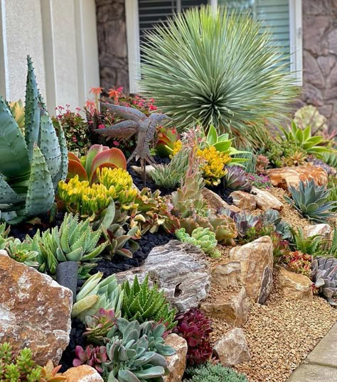 Succulent Rock Garden Landscaping, Cactus Garden Landscaping, Modern Gardening, Succulent Rock Garden, Succulent Outdoor, Succulent Garden Landscape, Succulent Display, Succulent Landscape Design, Drought Tolerant Garden