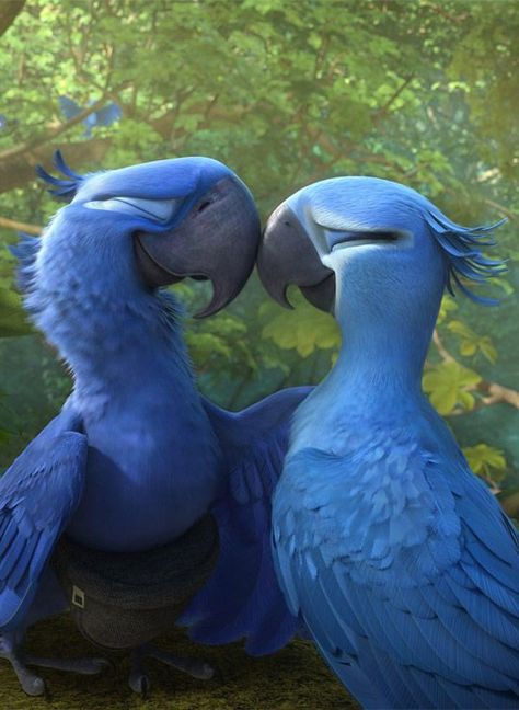 Rio Aesthetic Movie, Rio Movie Aesthetic, Rio Pfp, Carnival Aesthetic, Rio Movie, Rio 2, Disney Characters Wallpaper, Blue Birds, Art Disney