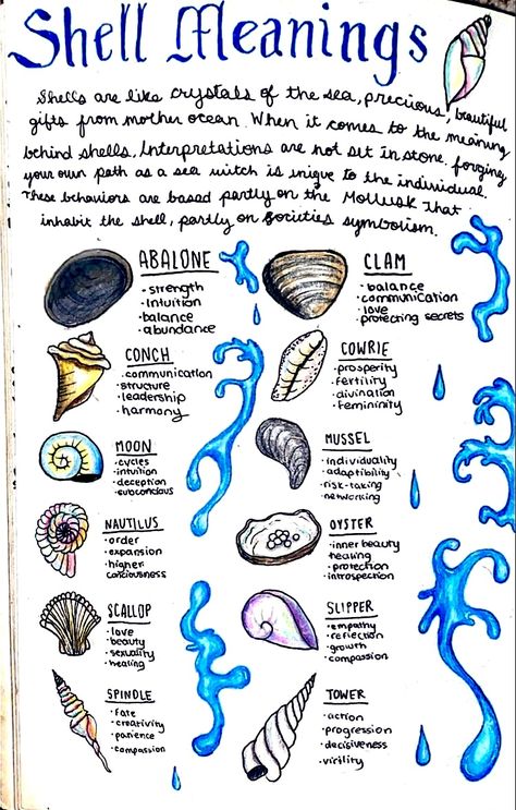 Sea Witchcraft Aesthetic, Sea Water Witchcraft, Seashells Witchcraft, Seashells In Witchcraft, Beach Witch, Sea Witch Grimoire, Mermaid Tarot, Ocean Magic, Witch Symbols