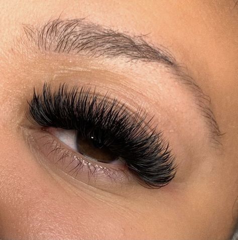 Eyelash Extensions Thick, Mega Volume Doll Eye Lash Extensions, Thick Lashes Extensions, Full Eyelash Extensions Volume, Mega Volume Whispy Lashes, Short Full Lashes, Eyelash Extensions Full Volume, Lash Extensions Full Volume, Full Lashes Extensions