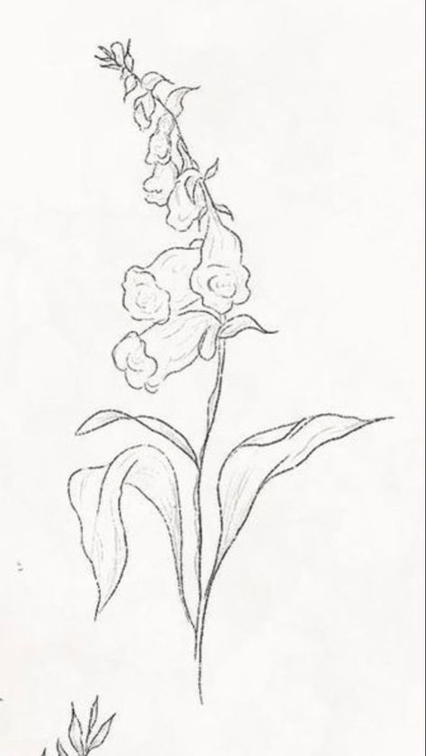 Foxglove Botanical Illustration, Foxglove Line Drawing, Fox Glove Flower Tattoos, Foxglove Drawing Simple, Foxglove Tattoo Simple, Foxglove Flower Drawing, Fox Gloves Tattoo, Foxglove Sketch, Foxglove Drawing