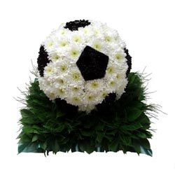 3D Football on Pitch Funeral Tribute - Black and White Horse Head Wreath, Crisco Recipes, Flower Toy, Nottingham Uk, Large Flower Arrangements, Tree Fern, Memorial Flowers, Cemetery Flowers, Sympathy Flowers