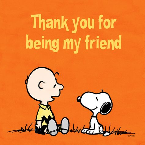 Thank you for being my friend.. friendship friend snoopy friendship quote… My Friend Quotes, Charlie Brown Y Snoopy, Charlie Brown Quotes, ポップアート ポスター, Snoopy Funny, Peanuts Cartoon, Snoopy Quotes, Snoopy Pictures, Snoop Dog