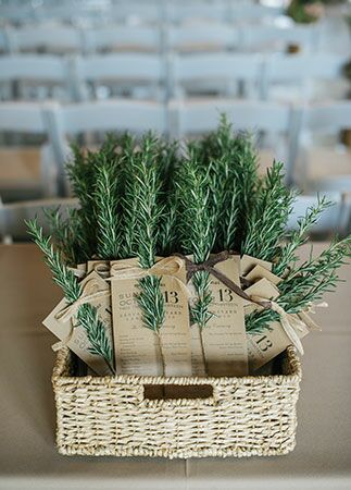 Wedding Program Examples, Herb Wedding, Wedding Tree Decorations, Wedding Ceremony Readings, Wedding Ceremony Programs, Ceremony Programs, Program Ideas, Wedding Pins, Tree Wedding