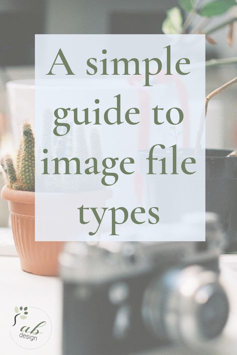 Confused about type of file to use when? This simple guide will explain the various image file types and their best uses. Free Business Resources, Business Board, Marketing Advice, Business Resources, File Types, Creative Entrepreneurs, Business Tips, Helpful Hints, Online Marketing