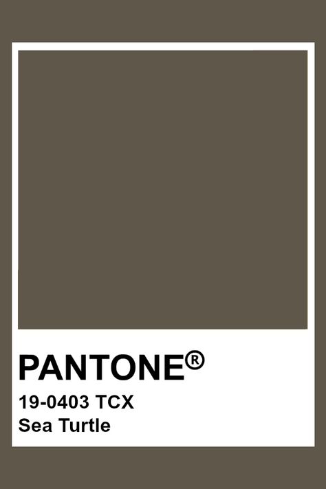 PANTONE 19-0403 TCX Sea Turtle #pantone #color Brown Pantone, Pantone Tcx, Pantone Green, Pantone Swatches, Pantone Palette, Pantone Colour Palettes, Color Chip, Color Inspo, Colour Board