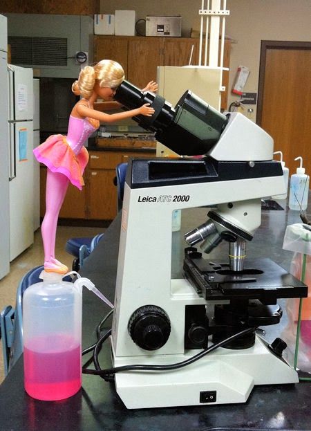 Barbie Loves Microbes -   Barbie is checking out bacteria in the microbiology lab. Clinical Laboratory, Microbiology Lab, Biomedical Science, Medical Laboratory, Microbiology, Lab, Medical, Science, Pink