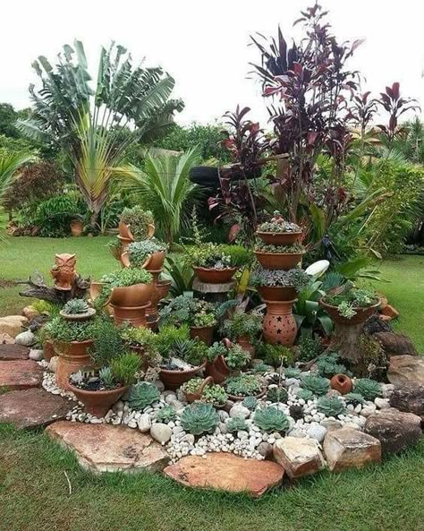 Succulent Rock Garden, Succulent Garden Design, Succulent Landscaping, نباتات منزلية, Rock Garden Design, Tropical Landscape, Succulent Garden Diy, Rock Garden Landscaping, Succulent Gardening