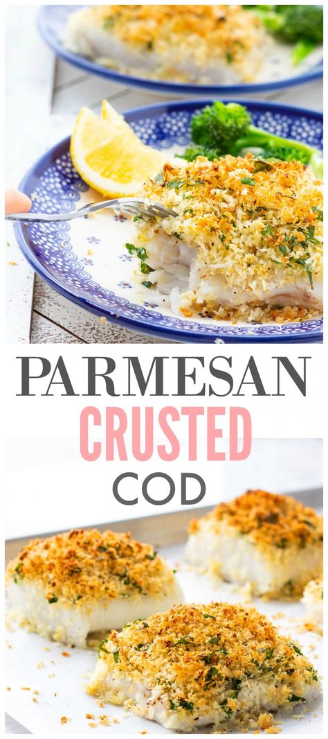 Parmesan Crusted Cod Recipes, How To Prepare Cod Fish, Parmesan Cod Baked, Parmesan Crusted Cod Baked, Fish Dinner Recipes For Family, Best Baked Cod Recipes, Recipes For Cod Fish, Cod Loin Recipes Baked, Cod Dinner Ideas