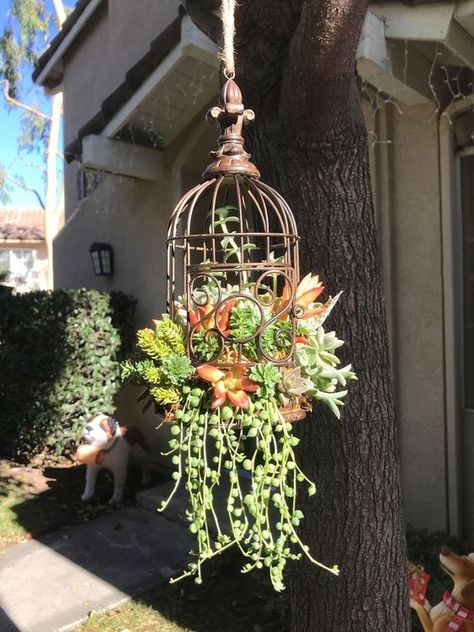 Vasos Vintage, Succulent Planter Diy, Tanaman Indoor, Succulent Landscaping, Succulent Garden Design, Succulent Garden Diy, Hanging Succulents, Birdcages, Succulent Gardening