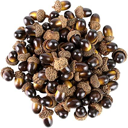 Amazon.com: BigOtters 100 PCS Artificial Acorn, Fake Nutty Craft Acorns with Natural Acorn Cap Simulation Fruit Props for Vase Filler, Home House Autumn Favor, Thanksgiving Day Christmas Wedding Decor: Kitchen & Dining Christmas Wedding Decor, Fall Favor, Woodland Christmas Tree, Door Hanging Decorations, Artificial Fruit, Pinecone Ornaments, Photography Decor, Fall Crafts Diy, Woodland Christmas