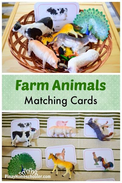 Farm Animals Preschool, Farm Animals Activities, Farm Theme Preschool, Farm Animal Crafts, Farm Unit, Farm Animals Theme, Farm Preschool, Montessori Toddler Activities, Farm Activities