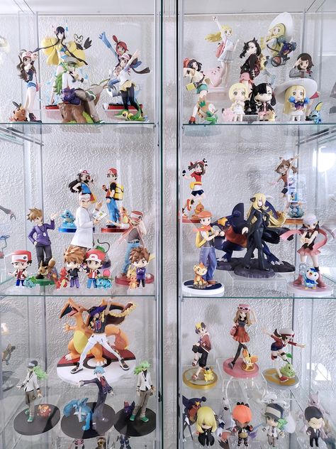 Pokemon Collection Display, Collection Display, Pokemon Collection, Displaying Collections, Banner Design, Pokemon, Baseball Cards, Anime, Art