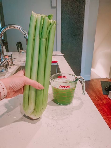 How I Make Celery Juice Without a Juicer - Rach Martino Celery Juice Vitamix Recipe, Celery Juice Recipe Blender, How To Make Celery Juice, Rach Martino, Juice Without A Juicer, Celery Juice Recipe, Foods For Healthy Skin, Nutribullet Recipes, Juicing With A Blender