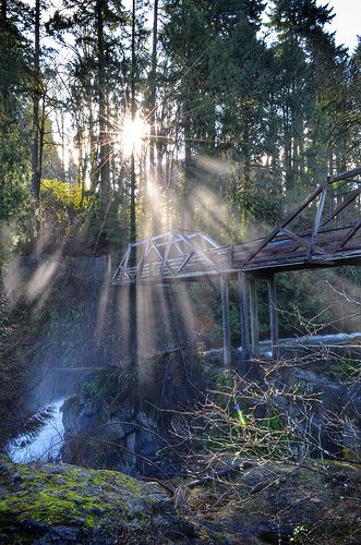 Walking Bridge, Washington State Travel, Olympia Washington, Washington Travel, Evergreen State, Autumn Park, Washington State, Pacific Northwest, Dream Vacations