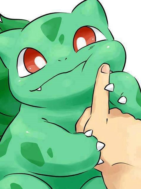 Poke a Bulbasaur :) Venusaur Pokemon, Bulbasaur Pokemon, Family Vibes, Pokemon Bulbasaur, Mega Pokemon, Cute Pokemon Pictures, Cute Pokemon Wallpaper, Classroom Theme, Pokemon Drawings