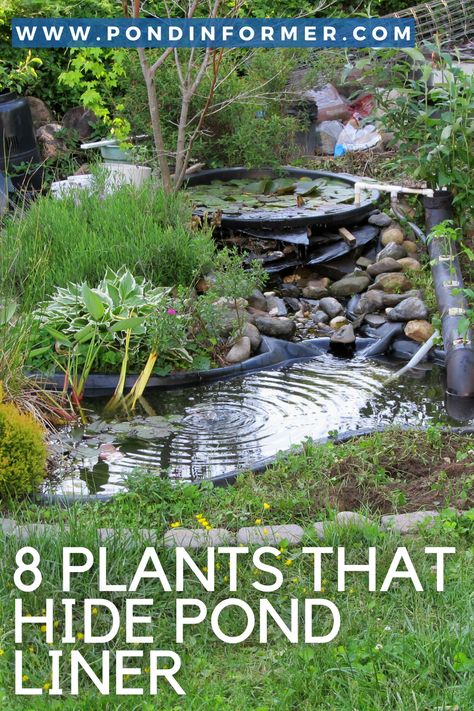 Plants For Pond Edge, Hiding Pond Liner, Planting Around A Pond, Outdoor Pond Ideas Landscaping, Natural Pools Backyard Swimming Ponds Diy, Plants For Water Features, Pond Filter Cover Ideas, Preformed Ponds Ideas, Pond Border Ideas