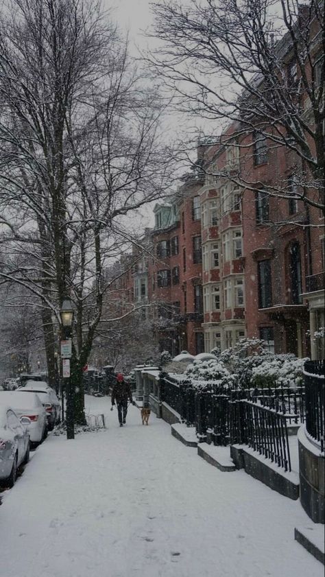 Boston Snow Aesthetic, Boston During Christmas, Boston Winter Aesthetic, Boston Aesthetics, Snowy Boston, Boston In Winter, Winter In Boston, Boston Snow, Boston Christmas