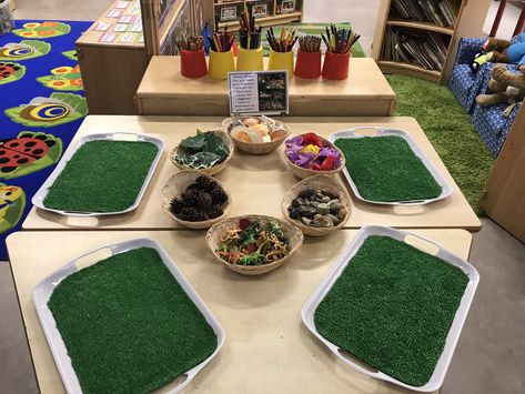 Materials Eyfs Activities, Eyfs Nature Activities, Dinosaur Nature Activities, Curiosity Approach Small World, Small World Play Ideas Natural Materials, Curiosity Approach Eyfs Preschool Activities, Dinosaur Small World Play, Eyfs Classroom Activities, Dinosaur Eyfs Activities