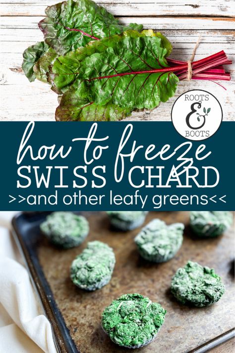 Freeze Swiss Chard, Diy Homesteading, Homestead Lifestyle, Freezing Vegetables, Silicone Baking Cups, Canning Food Preservation, Homesteading Ideas, Sweet Potato Soup, Swiss Chard