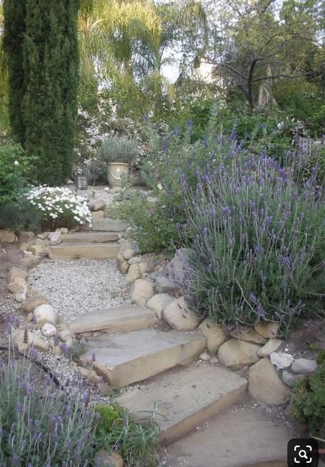 Drought Resistant Landscaping, Mediterranean Garden Design, Provence Garden, Santa Barbara Style, Stone Steps, Garden Stairs, Sloped Garden, Garden Steps, Stone Path