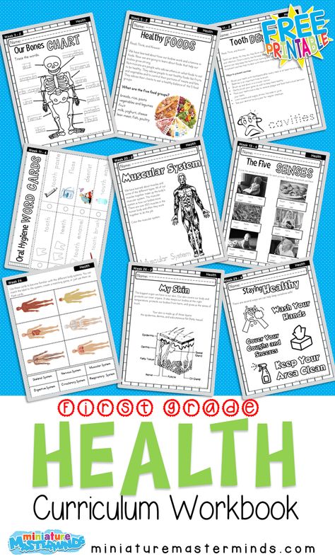 First Grade Curriculum Health Workbook Free Printable – Miniature Masterminds First Grade Homeschool Curriculum Free Printable, 2nd Grade Science Curriculum, First Grade Homeschool Curriculum, Grade 1 Curriculum, Homeschool First Grade, Homeschooling First Grade, First Grade Curriculum, Book Miniature, First Grade Lessons