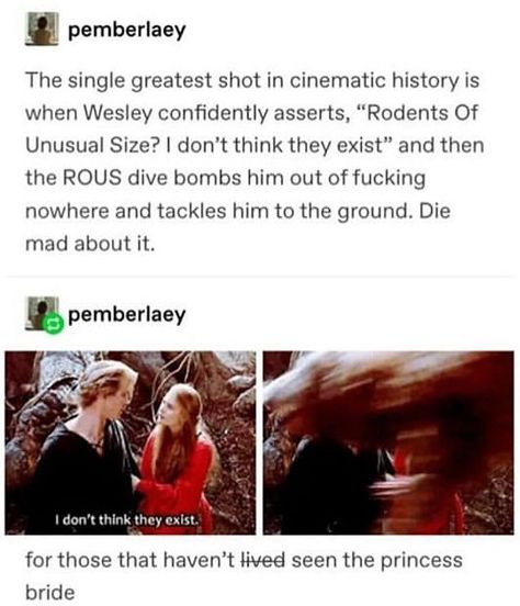 Princess Bride Funny, Princess Bride Quotes, Bride Quotes, The Princess Bride, Movie Facts, Princess Bride, Disney And Dreamworks, The Princess, Tumblr Funny