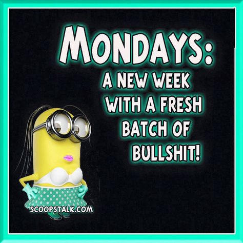 Monday Sucks Humor, Monday Jokes, Joke Of The Week, Funny Good Night Quotes, Monday Sucks, Text Stickers, Morning Quotes For Friends, Funny Day Quotes, I Hate Mondays