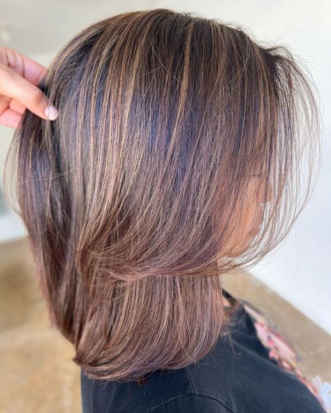 Stunning Caramel Babylights on Brunettes Curlie Hairstyles, Heavy Highlights, Zicxa Photos, Hairstyle Natural Hair, Kids Haircut, Babylights Hair, Long Hair Highlights, Sports Hair, Style Braids