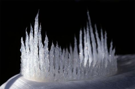 Diy With Hot Glue, Ice Queen Costume, Couronne Diy, Crown Diy, Make A Crown, Diy Crown, Icy Hot, Winter Fairy, Feather Crafts