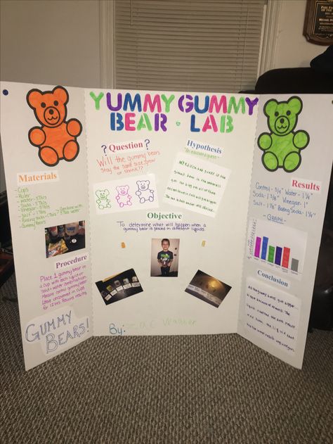 Gummy Bear Science experiment Yummy Gummy Bear Lab Science Projects, Gummy Bear Science Project Board, Science Fair Projects Gummy Bears, Growing Gummy Bears Science Fair Project, Gummy Bear Science Fair Project Board, Gummy Bear Experiment For Kids, Gummy Bear Experiment Scientific Method, Gummy Bear Growth Experiment, Gummy Bear Osmosis Science Fair Project