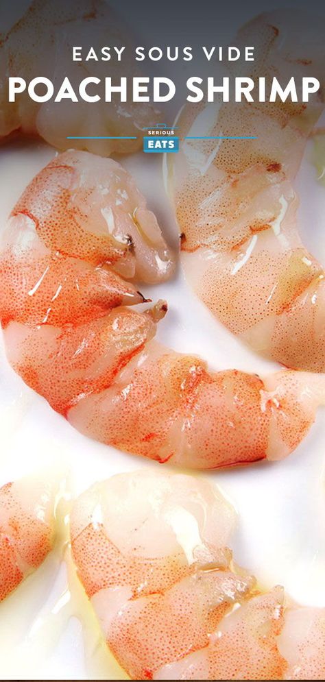 Sous Vide Lobster, Sous Vide Fish Recipes, Sous Vide Shrimp, Sous Vide Recipes Seafood, Sous Vide Shrimp Cocktail, Sous Vide Seafood, Sous Vide Shrimp Recipe, Sous Vide Octopus, Sous Vide Pork