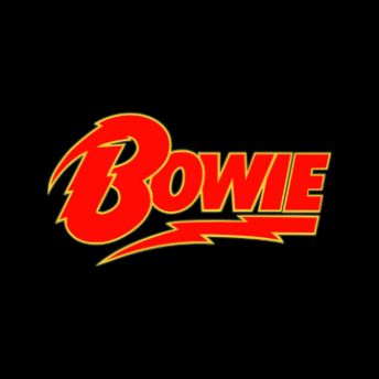 Bowie Logo David Bowie Logo, Rock Band Logos, Typographic Logo Design, Musical Band, Practical Jokes, Band Logos, Photo Wall Collage, Band Posters, Typography Logo