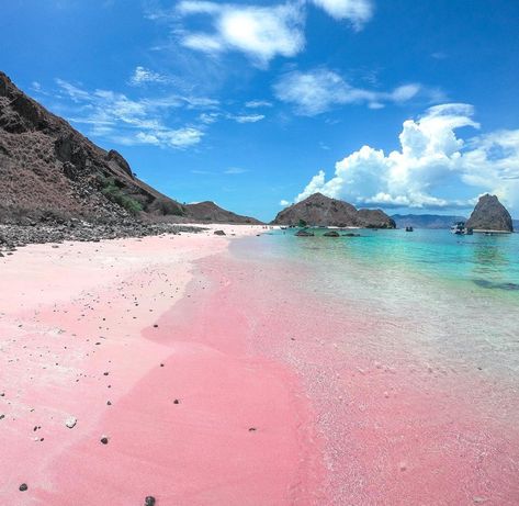 Bahamas Pink Sand Beach, Pink Sand Beach Bermuda, Widgets Summer, Fairytale Locations, Pink Sand Beach Bahamas, Pantai Pink, Widgets Ipad, Horseshoe Bay Bermuda, Traveling Goals