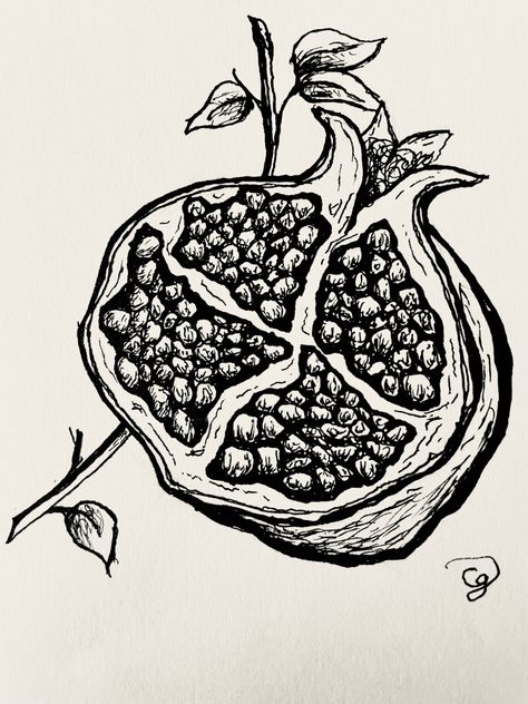 Pomegranate Line Drawing, Pomegranate Line Art, Pomegranate Branch Tattoo, Pomogranette Drawing, Pomagranet Art, Pomegranate Sketch, Pen Line Drawing, Macbeth Poster, Pomegranate Drawing