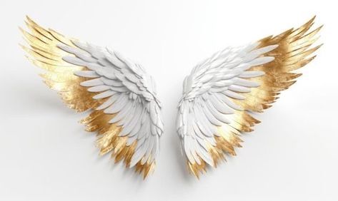 White And Gold Angel Wings, White Wing, Church Images, Wolf Painting, Wing Tattoo, Gold Angel Wings, White Wings, Iphone Background Images, Dslr Background Images