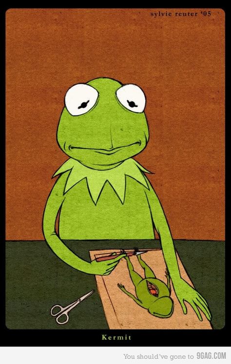 Frog Art, Kermit The Frog, Jim Henson, The Frog, 그림 그리기, T Rex, Biology, Wallpaper Iphone, Art Inspo