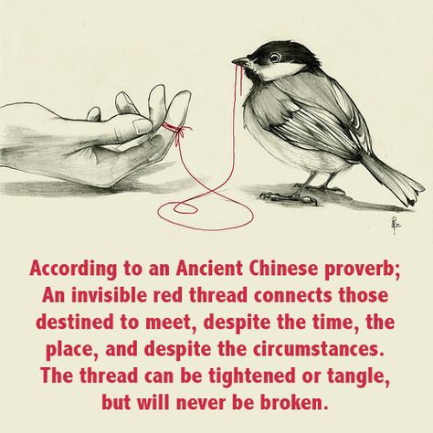 red thread.. Red String Of Fate Quote, Red Thread Of Fate, Thread Of Fate, Fate Quotes, String Of Fate, Red String Of Fate, Chinese Proverbs, Red Thread, Red String