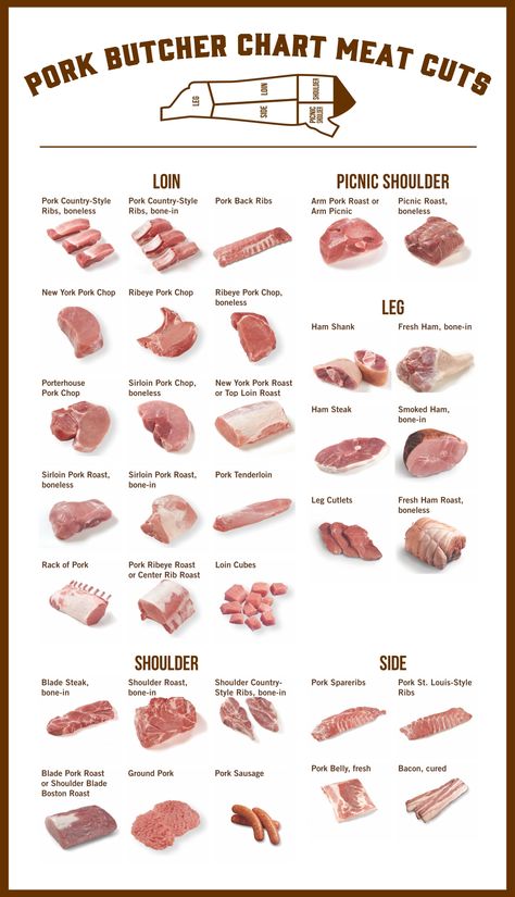 Pork Butcher Chart Meat Cuts Pork Cuts Chart, Meat Cuts Chart, Beef Cuts Chart, Diet Food Chart, Picnic Roast, Pig Meat, Roast Pork Chops, Tabel Periodik, Pork Back Ribs